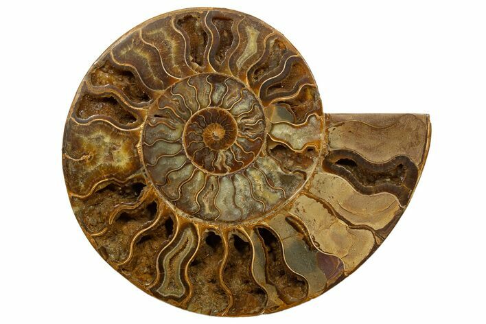 Huge, Sliced Ammonite Fossil (Half) - Crystal Filled #317432